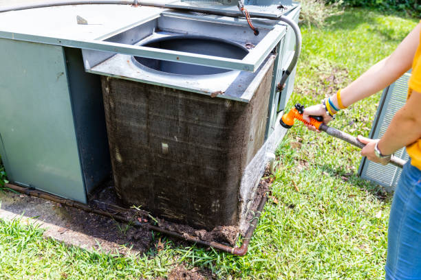 Best Residential Air Duct Cleaning  in Lexington, MN