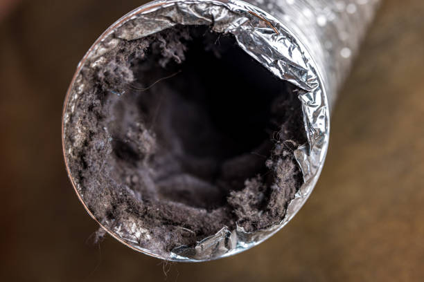 Best Affordable HVAC Duct Cleaning  in Lexington, MN