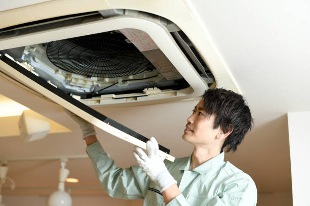 Best Affordable Duct Cleaning Services  in Lexington, MN