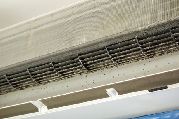 Best Dryer Vent Cleaning Services  in Lexington, MN