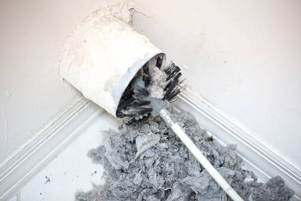 Best Air Duct Cleaning Company Near Me  in Lexington, MN