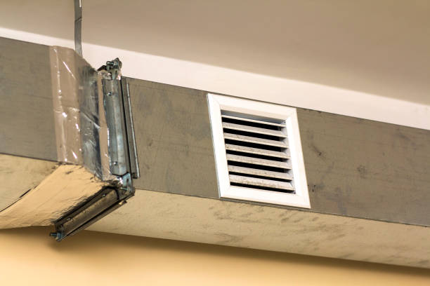 Best Air Vent Cleaning Services  in Lexington, MN